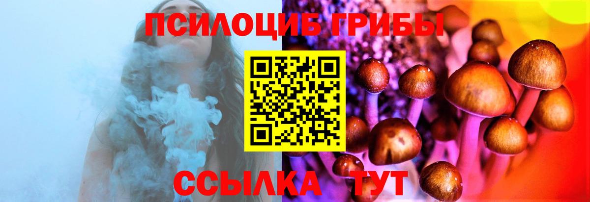 Сатка  Псилоцибиновые грибы Psilocybe  Вход с VPN 